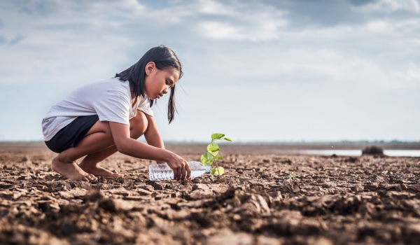 AI Is on the Narrow Trail to Accelerate Climate Change